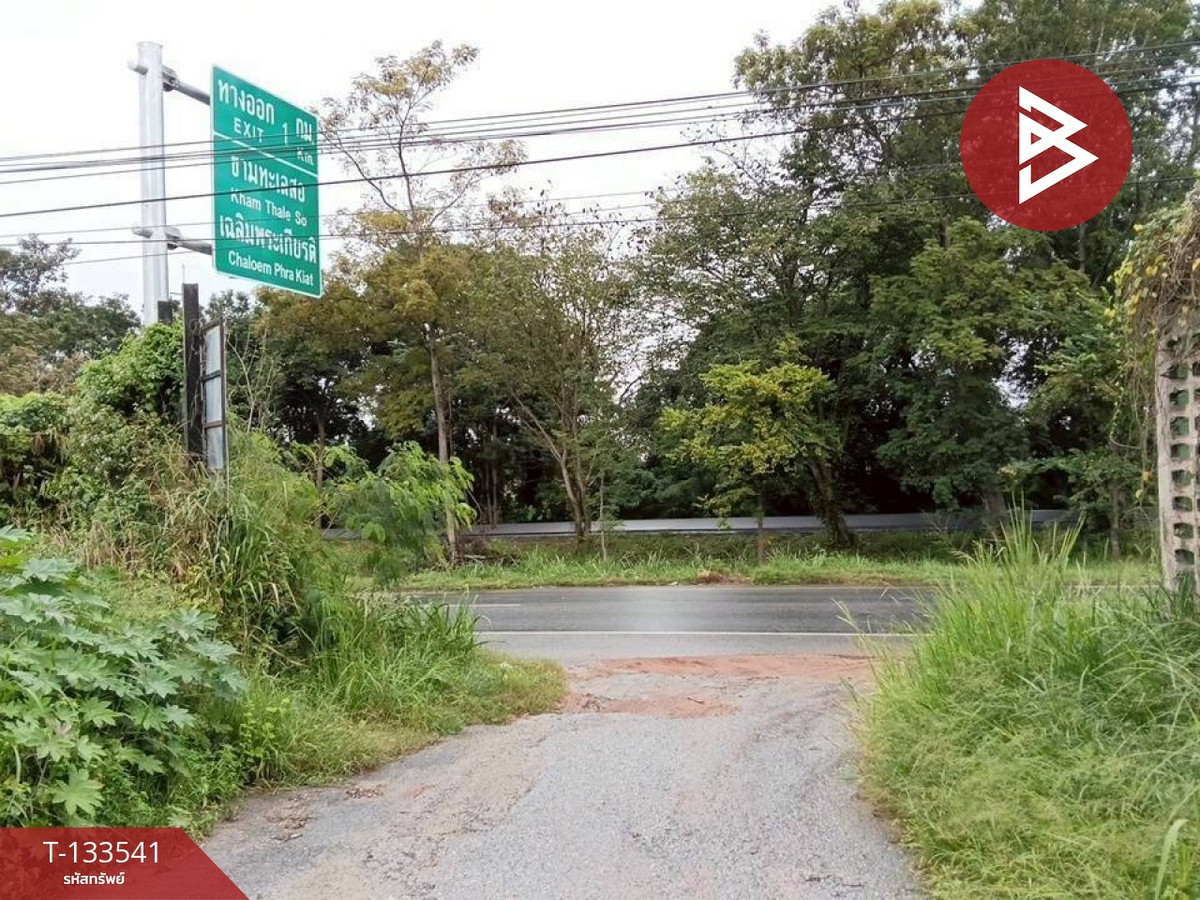 ขายที่ดินโคราช นครราชสีมา : ขายที่ดิน เนื้อที่ 99 ตร.วา ปักธงชัย นครราชสีมา