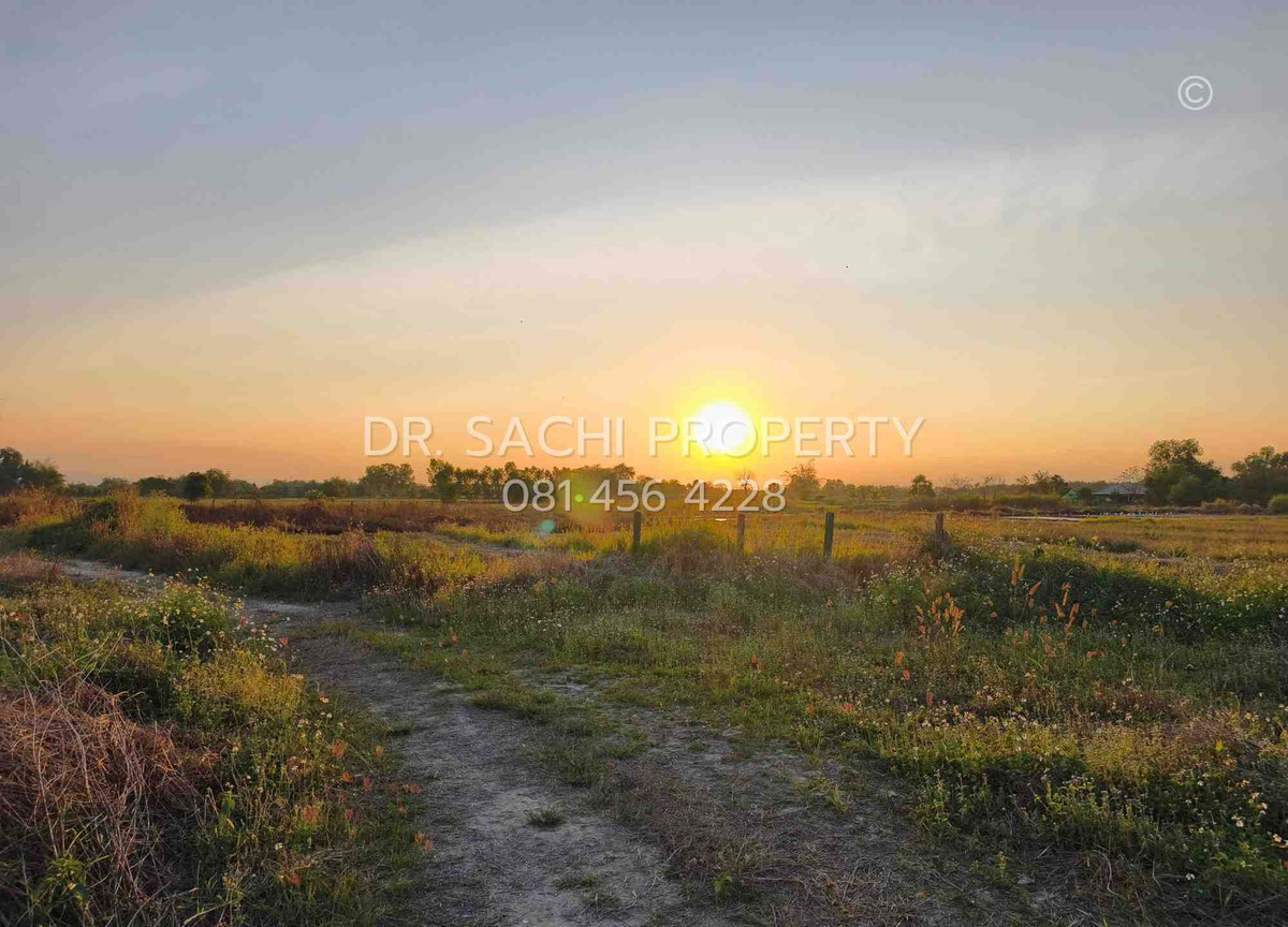 For SaleLandLamphun : Beautiful land for sale 13-0-19.3 rai near CPRAM Lamphun, near Lamphun city, only 10 minutes.