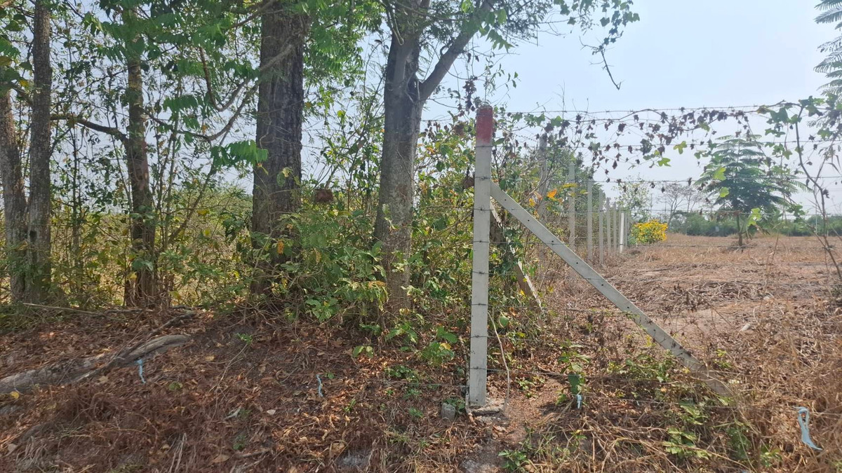 ขายที่ดินนครนายก : ที่ดินถมแล้ว 4 ไร่ 2 งาน บ้านพริก อ.บ้านนา-นครนายก ติดถนนสาธารณะ พร้อมปลูกบ้านได้ทันที