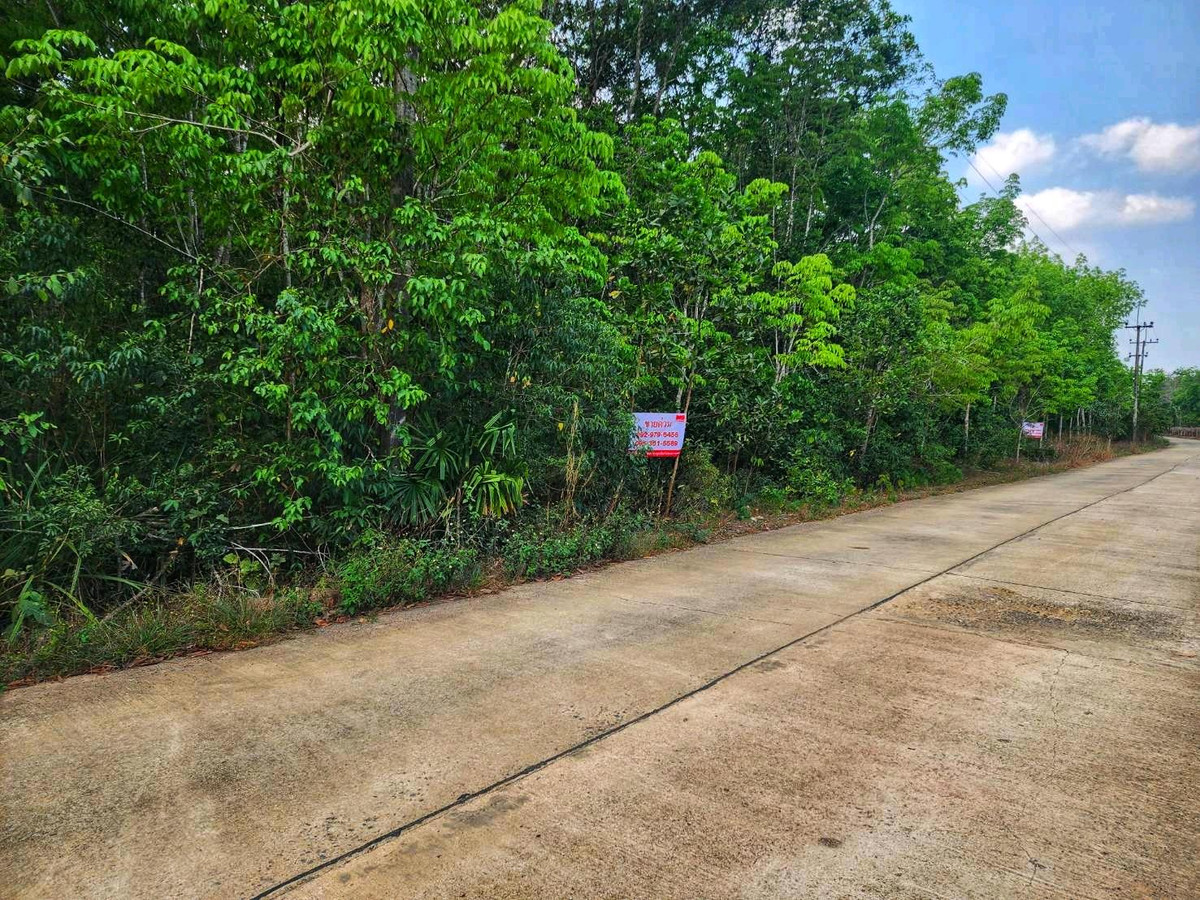 ขายที่ดินจันทบุรี : ขายที่ดินพร้อมสวนยาง 19-3-32 ไร่ อ.มะขาม จันทบุรี ใกล้ถนนหลักไปสระแก้ว