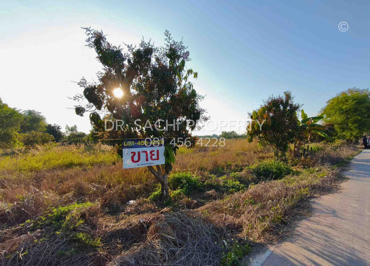 For SaleLandLamphun : Beautiful land for sale 13-0-19.3 rai near CPRAM Lamphun, near Lamphun city, only 10 minutes.