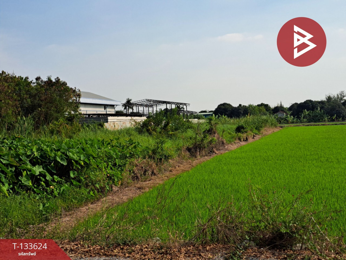 ขายที่ดินนนทบุรี บางใหญ่ บางบัวทอง : ขายที่ดิน เนื้อที่ 1 งาน 5 ตร.วา ไทรน้อย นนทบุรี