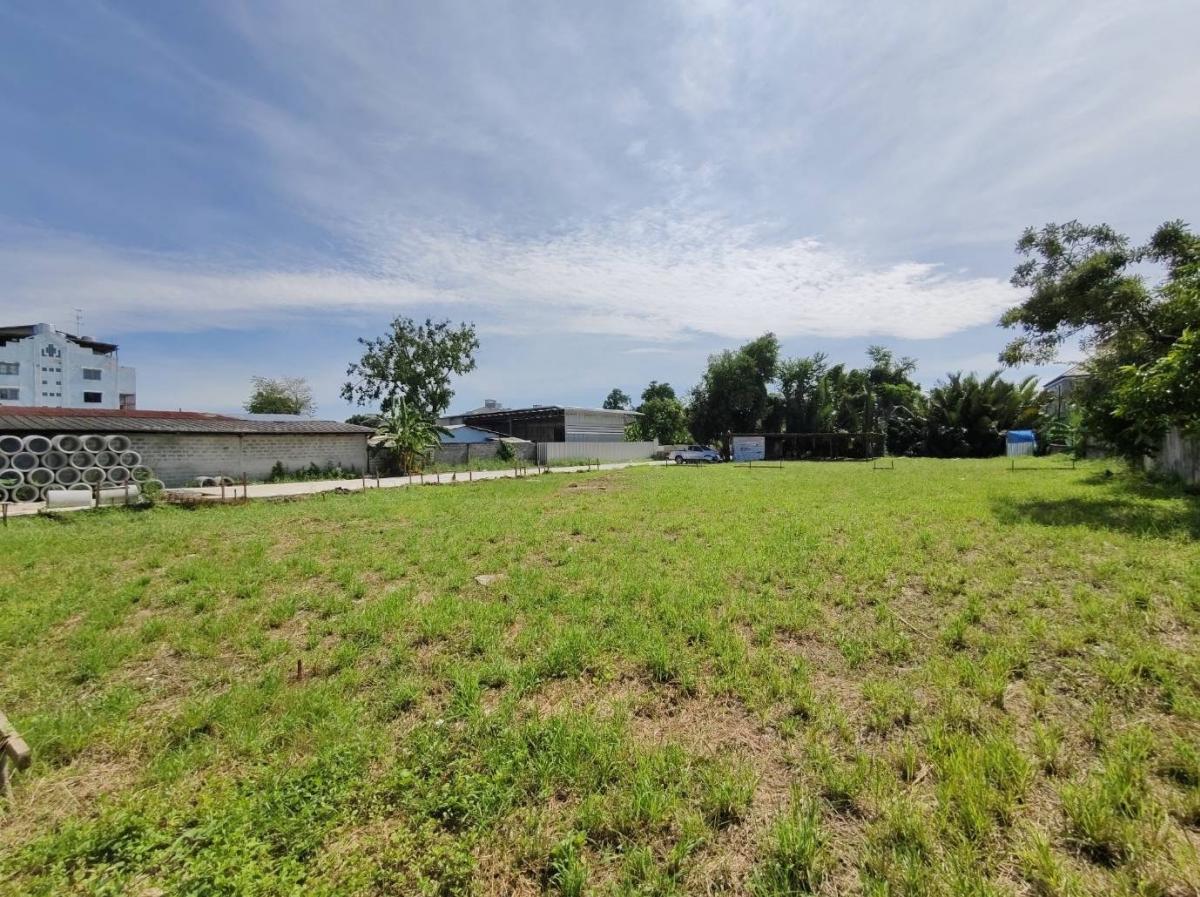 ขายที่ดินอ่อนนุช อุดมสุข : 28/02/2026, ขายที่ดินถมแล้ว สุขุมวิท 101 ใกล้ BTS ปุณณวิถี เหมาะทำบ้าน-โฮมออฟฟิศ 
382 ตร.ว. ราคาพิเศษ 40 ล้าน ติดถนนกว้าง เดินทางสะดวกทุกเส้นทาง