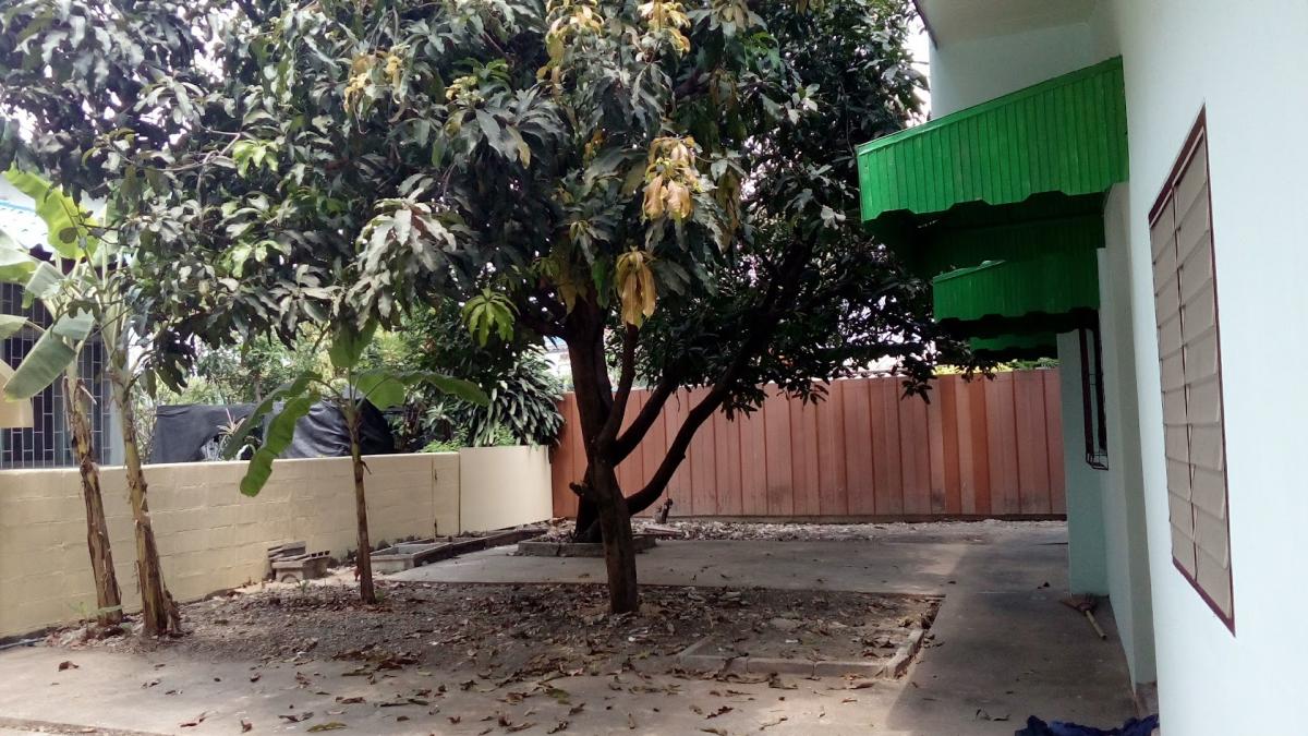 ขายบ้านนวมินทร์ รามอินทรา : 28/02/2026, บ้านใหญ่ 4 ห้องนอน ย่านนวมินทร์ ใกล้แยกลาดพร้าว เพียง 6 ล้าน 
พื้นที่ใช้สอยกว้าง 250 ตร.ม. พร้อมที่ดิน 104 ตร.ว. ตอบโจทย์ทุกไลฟ์สไตล์