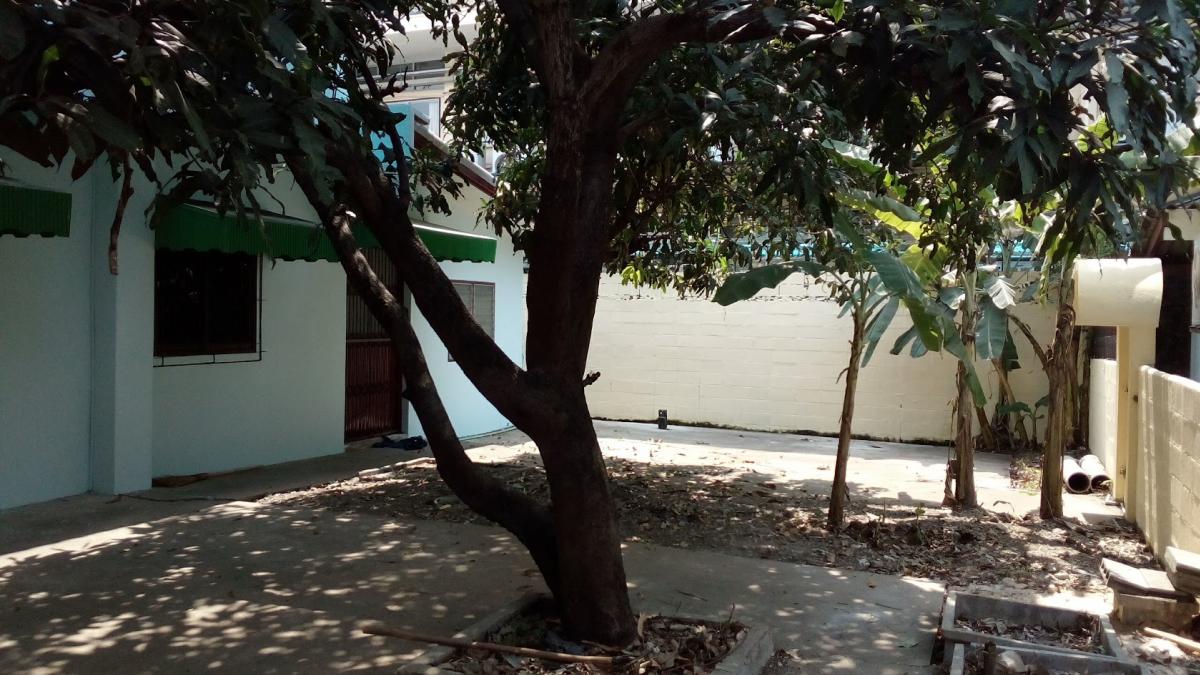 ขายบ้านนวมินทร์ รามอินทรา : 28/02/2026, บ้านใหญ่ 4 ห้องนอน ย่านนวมินทร์ ใกล้แยกลาดพร้าว เพียง 6 ล้าน 
พื้นที่ใช้สอยกว้าง 250 ตร.ม. พร้อมที่ดิน 104 ตร.ว. ตอบโจทย์ทุกไลฟ์สไตล์