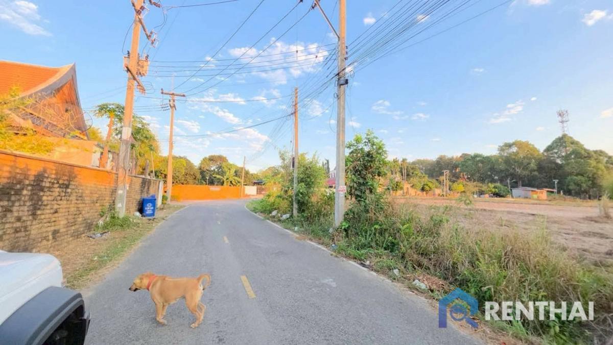 ขายที่ดินพัทยา บางแสน ชลบุรี สัตหีบ : ที่ดินเปล่าแปลงสวย