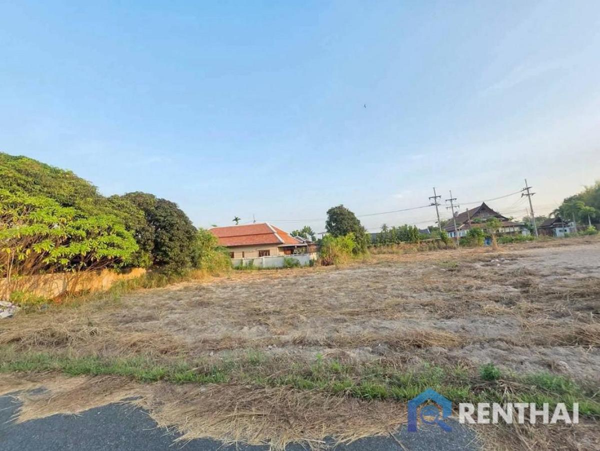 ขายที่ดินพัทยา บางแสน ชลบุรี สัตหีบ : ที่ดินเปล่าแปลงสวย