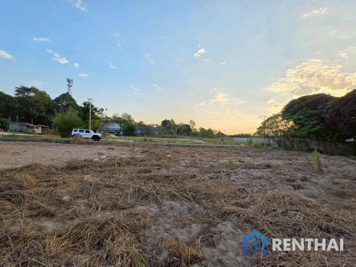 ขายที่ดินพัทยา บางแสน ชลบุรี สัตหีบ : ที่ดินเปล่าแปลงสวย