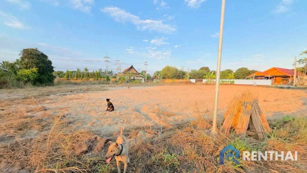 ขายที่ดินพัทยา บางแสน ชลบุรี สัตหีบ : ที่ดินเปล่าแปลงสวย