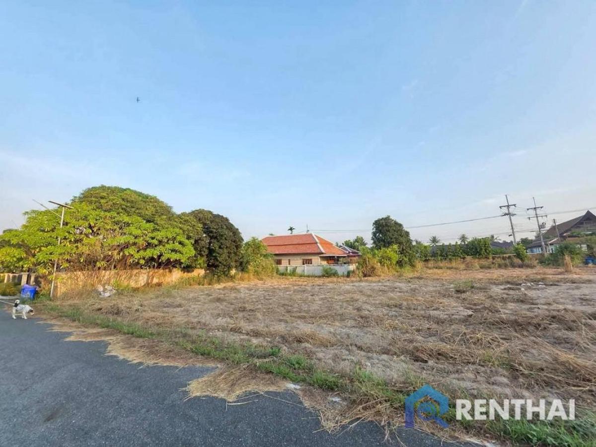 ขายที่ดินพัทยา บางแสน ชลบุรี สัตหีบ : ที่ดินเปล่าแปลงสวย