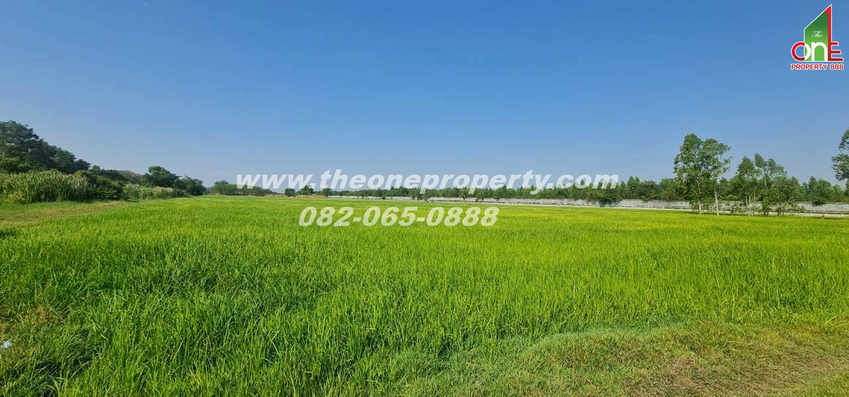 ขายที่ดินปทุมธานี รังสิต ธรรมศาสตร์ : ที่ดิน 5-1-83 ไร่ ซอย หมุดทอง ถ.ลำลูกกา ต.ลำลูกกาคลอง9(ตะวันตก) อ.ลำลูกกา