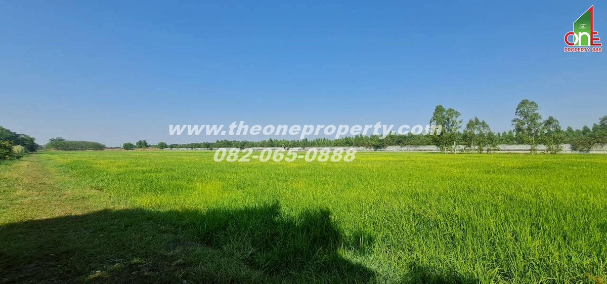 ขายที่ดินปทุมธานี รังสิต ธรรมศาสตร์ : ที่ดิน 5-1-83 ไร่ ซอย หมุดทอง ถ.ลำลูกกา ต.ลำลูกกาคลอง9(ตะวันตก) อ.ลำลูกกา