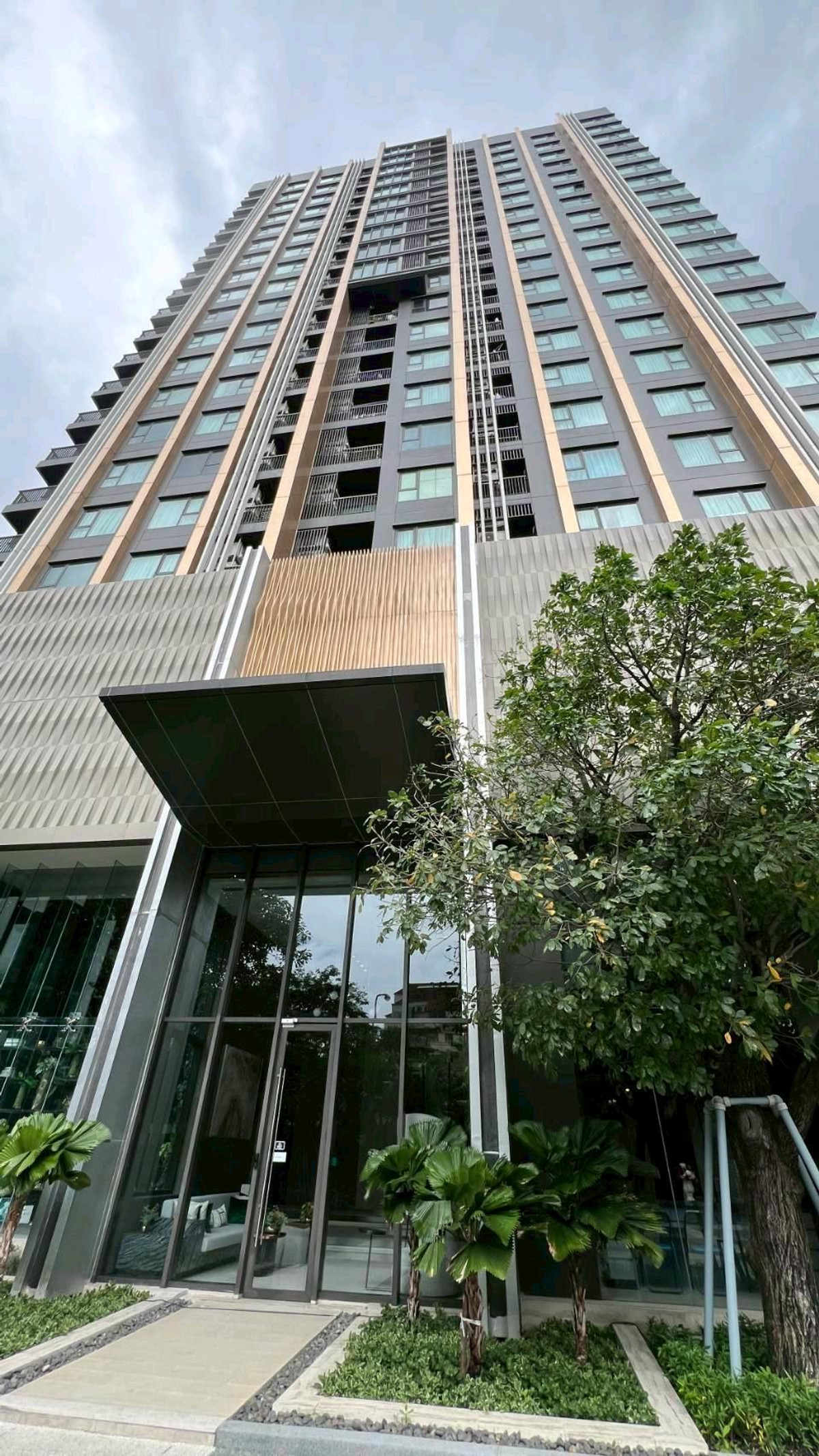 ขายคอนโดอ่อนนุช อุดมสุข : ขาย ไลฟ์สุขุมวิท 62 ห้องมุม ชั้น5 