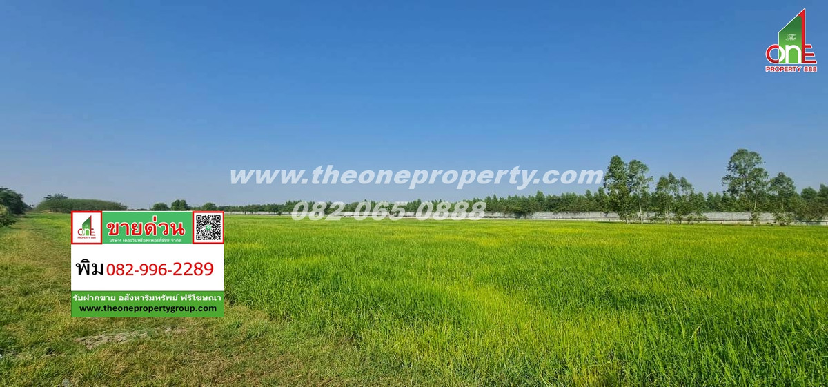 For SaleLandPathum Thani,Rangsit, Thammasat : Land 5-1-83 rai, Soi Phutthong, Lam Luk Ka Road, Lam Luk Ka Subdistrict, Khlong 9 (West), Lam Luk Ka District.