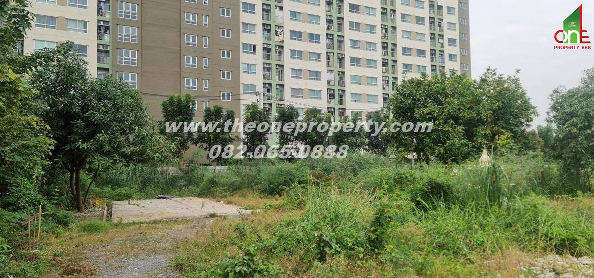 For SaleLandBang kae, Phetkasem : Vacant land 2-2-53 rai, Soi Phetkasem 96/1, Phetkasem Road, Bang Khae Nuea Subdistrict, Bang Khae District, Bangkok.