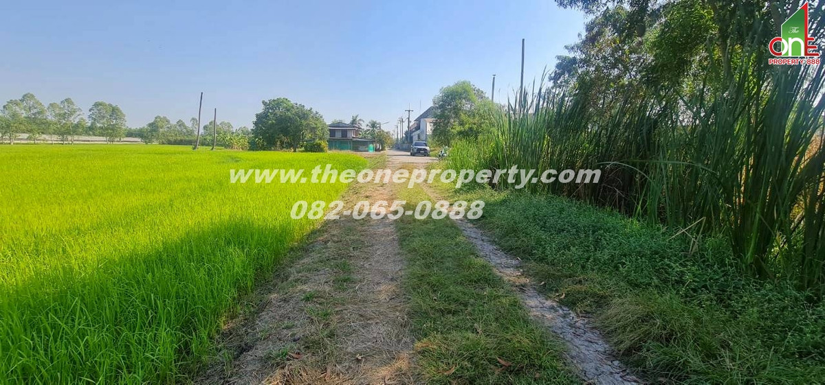 ขายที่ดินปทุมธานี รังสิต ธรรมศาสตร์ : ที่ดิน 5-1-83 ไร่ ซอย หมุดทอง ถ.ลำลูกกา ต.ลำลูกกาคลอง9(ตะวันตก) อ.ลำลูกกา