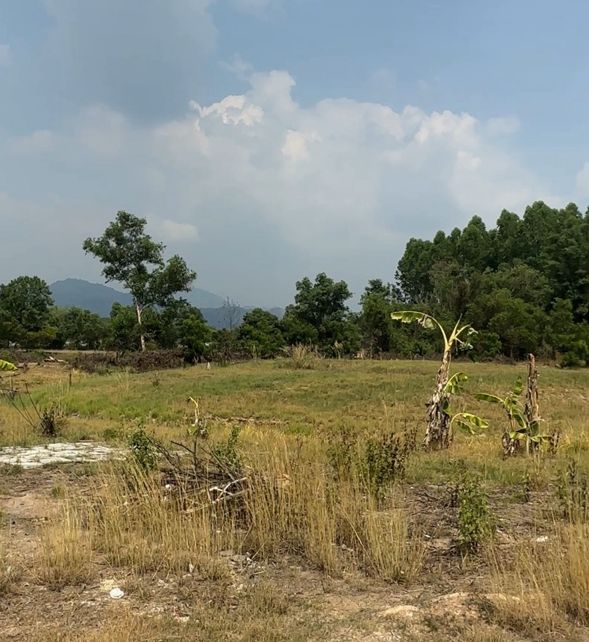 ขายที่ดินนครนายก : ขายที่ดินเปล่า ใกล้โรงเรียมเตรียมทหาร ต.ศรีกะอาง อ.บ้านนา จ.นครนายก เนื้อที่ 5 ไร่ 1 งาน
