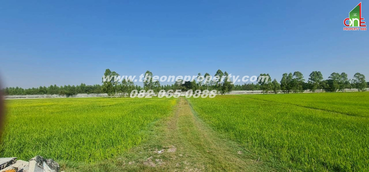 ขายที่ดินปทุมธานี รังสิต ธรรมศาสตร์ : ที่ดิน 5-1-83 ไร่ ซอย หมุดทอง ถ.ลำลูกกา ต.ลำลูกกาคลอง9(ตะวันตก) อ.ลำลูกกา