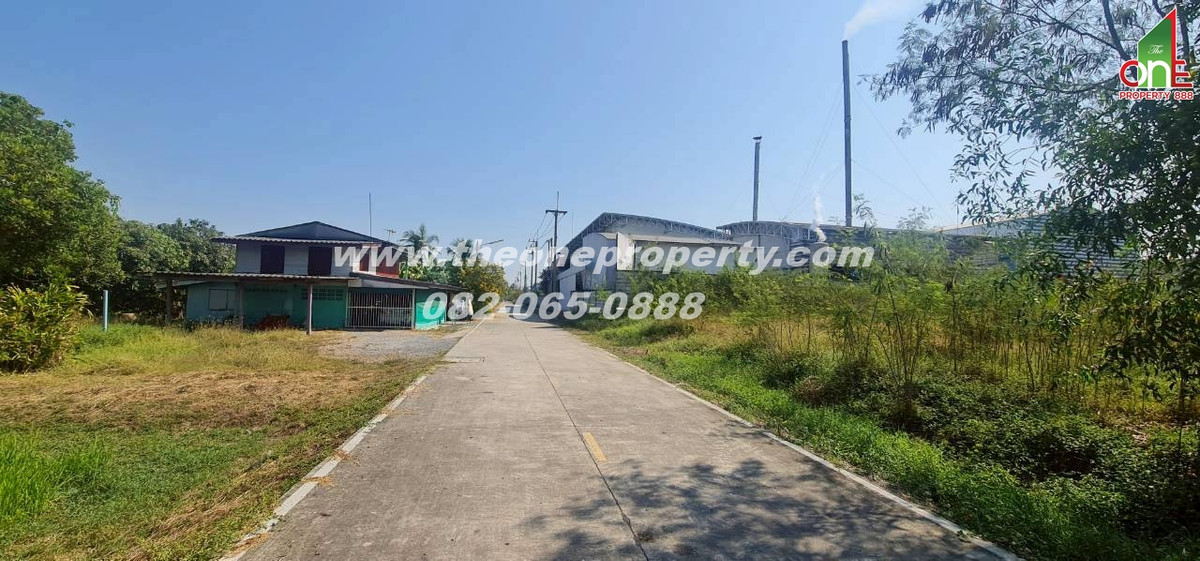 ขายที่ดินปทุมธานี รังสิต ธรรมศาสตร์ : ที่ดิน 5-1-83 ไร่ ซอย หมุดทอง ถ.ลำลูกกา ต.ลำลูกกาคลอง9(ตะวันตก) อ.ลำลูกกา