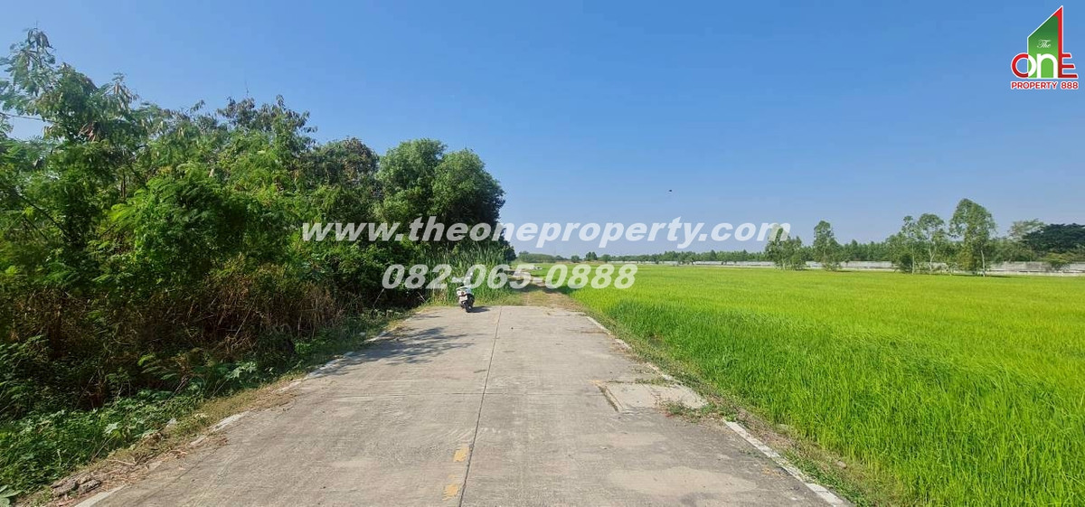 ขายที่ดินปทุมธานี รังสิต ธรรมศาสตร์ : ที่ดิน 5-1-83 ไร่ ซอย หมุดทอง ถ.ลำลูกกา ต.ลำลูกกาคลอง9(ตะวันตก) อ.ลำลูกกา