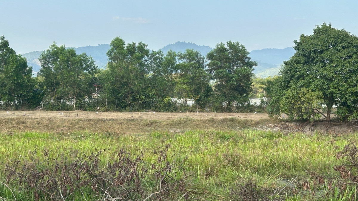 ขายที่ดินนครนายก : ขายที่ดินเปล่า ใกล้โรงเรียมเตรียมทหาร ต.ศรีกะอาง อ.บ้านนา จ.นครนายก เนื้อที่ 5 ไร่ 1 งาน
