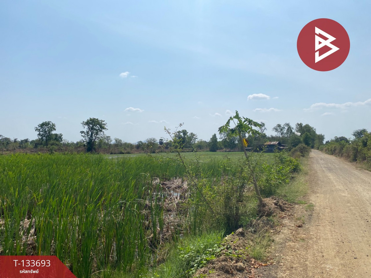 For SaleLandNakhon Sawan : Land for sale, area 9 rai 1 ngan 38.8 sq m, Nong Pling, Nakhon Sawan.