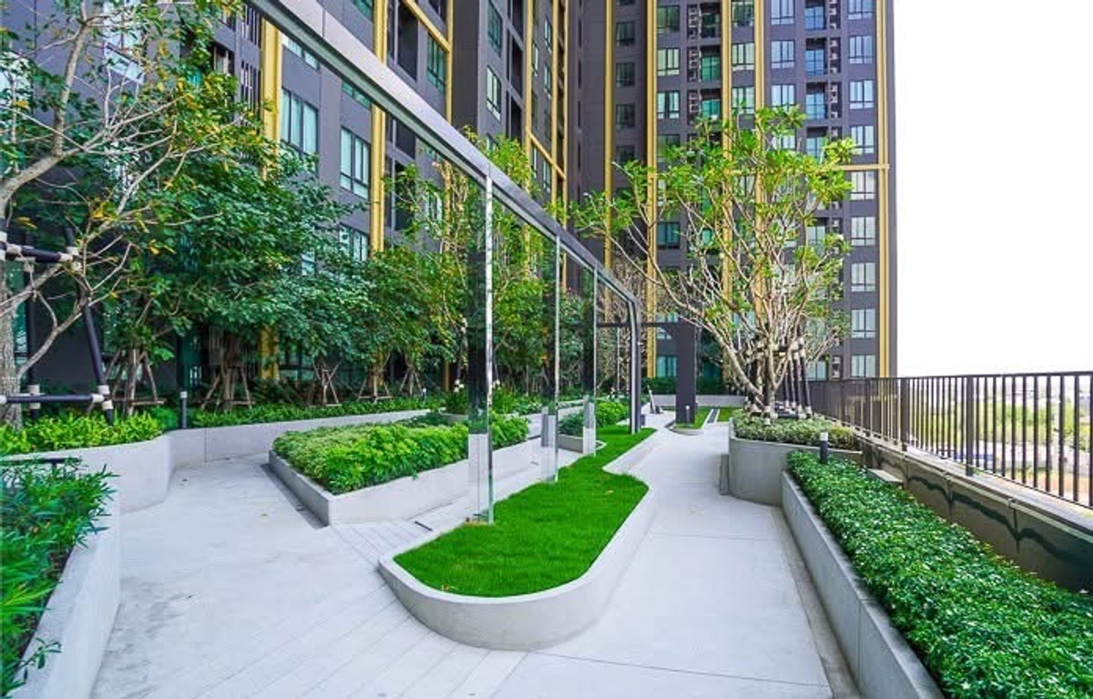 เซ้งคอนโดบางนา แบริ่ง ลาซาล : 10,000 ก็อยู่ติด Mega ได้! ห้องใหม่ ชั้น 21 วิวไม่บล็อก อยู่สบาย ใกล้ห้าง ใกล้รถไฟฟ้า ห้องใหม่แต่งครบ 