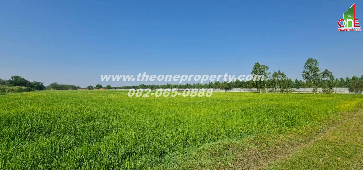 ขายที่ดินปทุมธานี รังสิต ธรรมศาสตร์ : ที่ดิน 5-1-83 ไร่ ซอย หมุดทอง ถ.ลำลูกกา ต.ลำลูกกาคลอง9(ตะวันตก) อ.ลำลูกกา