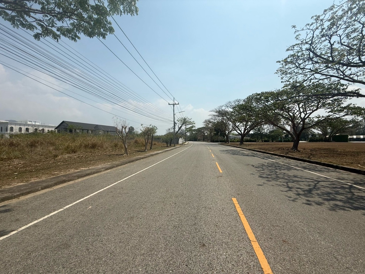 ขายที่ดินพัทยา บางแสน ชลบุรี สัตหีบ : ขายที่ดินศรีราชา 551 ตรว. ติดถนน 2 ด้าน วาละ 20,000 เท่านั้น!
แปลงใหญ่ หายาก ทำรีสอร์ท/พูลวิลล่า/บ้านหรูได้สบาย ๆ 🌿✨**