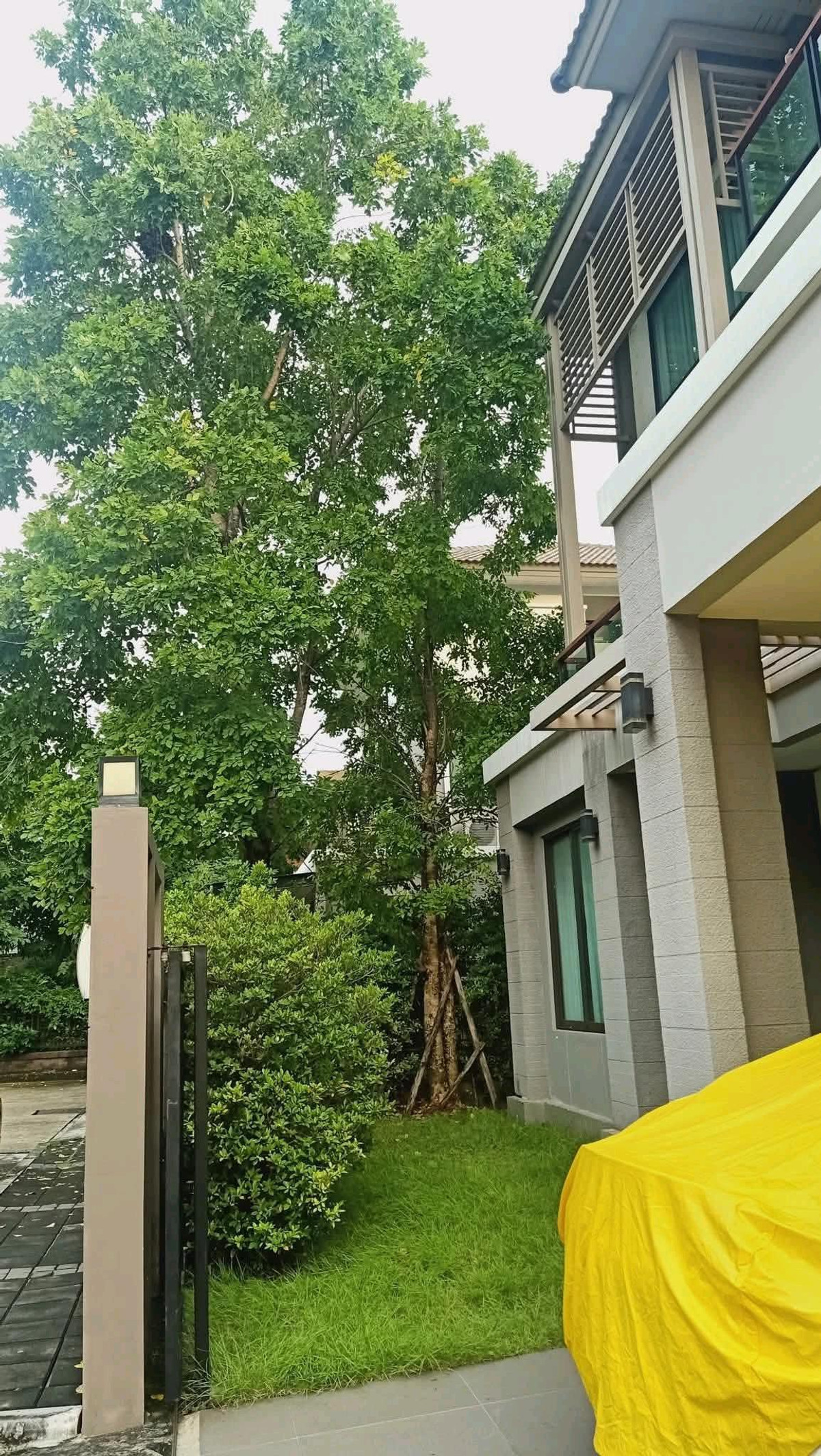 ให้เช่าบ้านนวมินทร์ รามอินทรา : ให้เช่า ภัสสร เรียบวงแหวน รามอินทรา (แต่งหรู) มีห้องแม่บ้าน