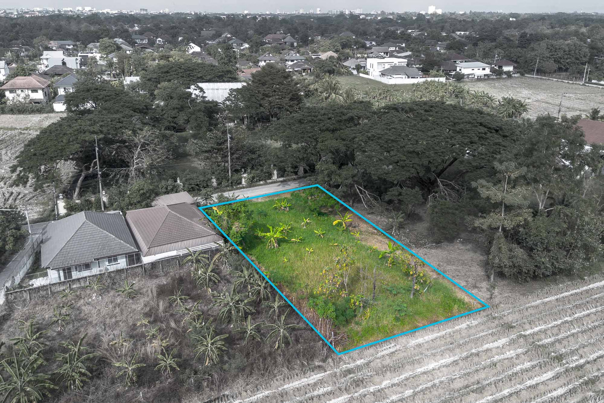 ขายที่ดินเชียงใหม่ : ที่ดิน โซนหางดง ถมแล้ว พร้อมสร้าง วิวทุ่งนาบรรยากาศสงบ ใกล้ถนนหลัก-สนามบิน เดินทางสะดวก