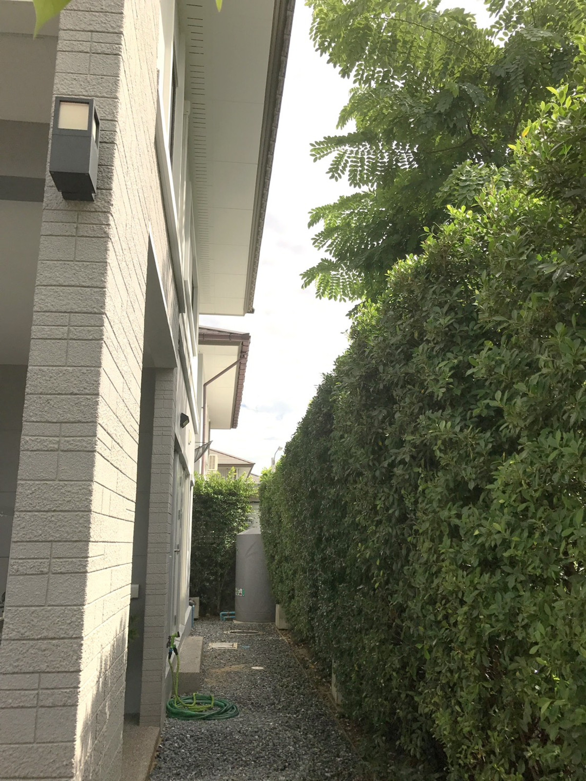 For RentHousePattanakan, Srinakarin : The Palm Pattanakarn / 3 bedrooms (for sale), The Palm Pattanakarn / 3 Bedrooms (FOR SALE) FON276