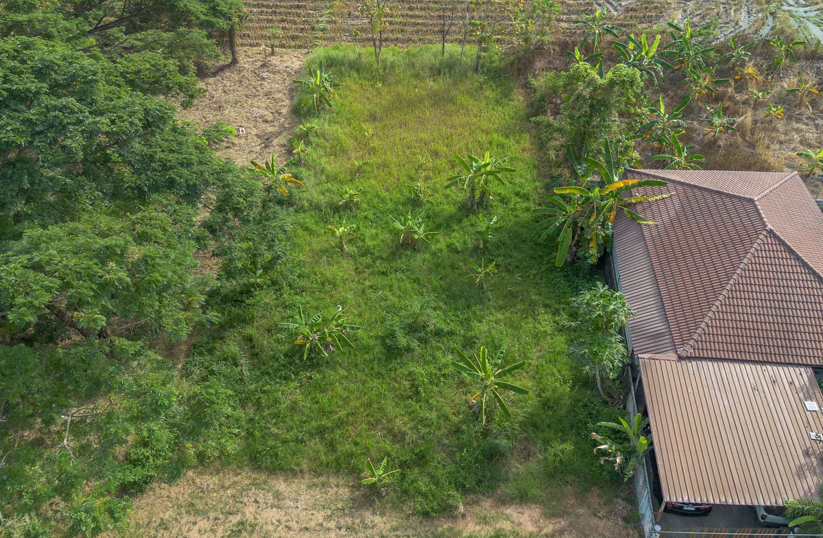 ขายที่ดินเชียงใหม่ : ที่ดิน โซนหางดง ถมแล้ว พร้อมสร้าง วิวทุ่งนาบรรยากาศสงบ ใกล้ถนนหลัก-สนามบิน เดินทางสะดวก