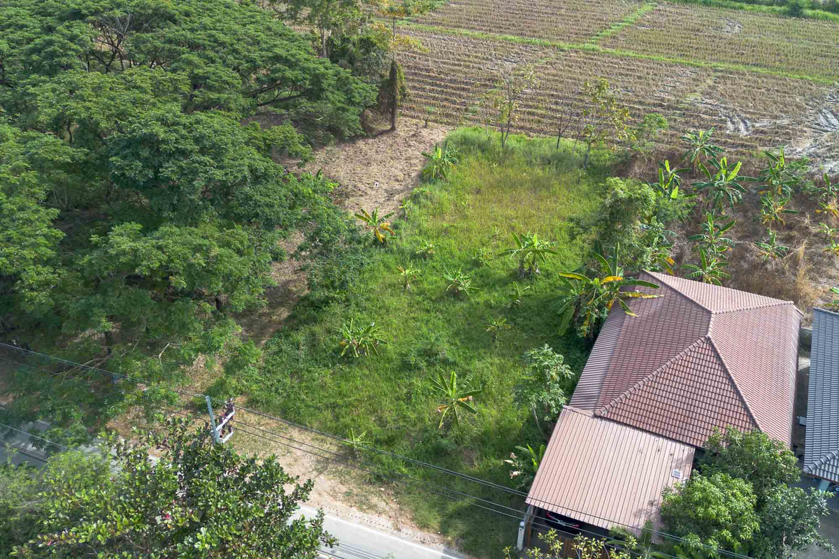 ขายที่ดินเชียงใหม่ : ที่ดิน โซนหางดง ถมแล้ว พร้อมสร้าง วิวทุ่งนาบรรยากาศสงบ ใกล้ถนนหลัก-สนามบิน เดินทางสะดวก