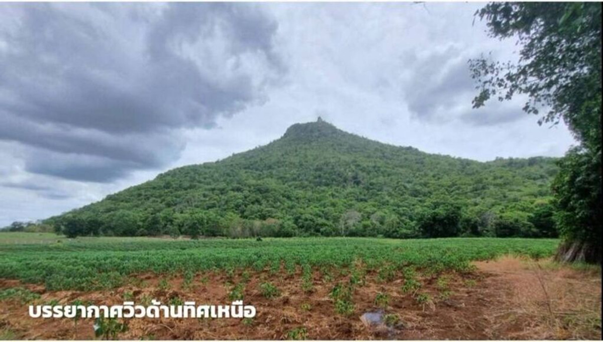 ขายที่ดินเพชรบูรณ์ : ขายที่ดินภูเขาไฟ บ้านหนองสะแกสี่ ต.โคกสะอาด อ.ศรีเทพ จ.เพชรบูรณ์(ห่างทางหลวง หมายเลข21 8 กม.หรือ 15 นาทีจากตัวอำเภอ)