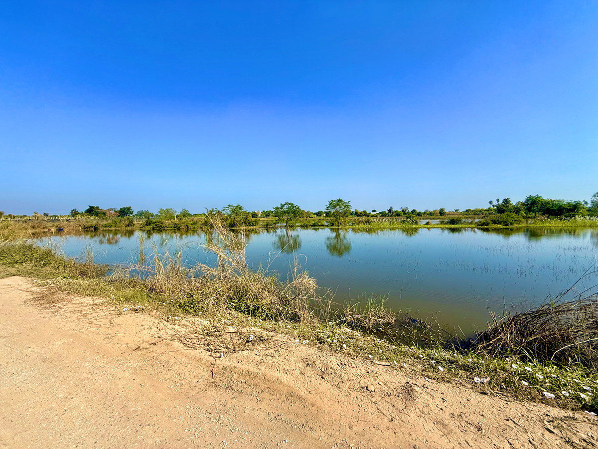 For SaleLandNakhon Sawan : 📢 [Urgent Sale] Prime Land Near Nakhon Sawan Transport Office & Bueng Senat – 5 Rai+ at an Unbeatable Price!