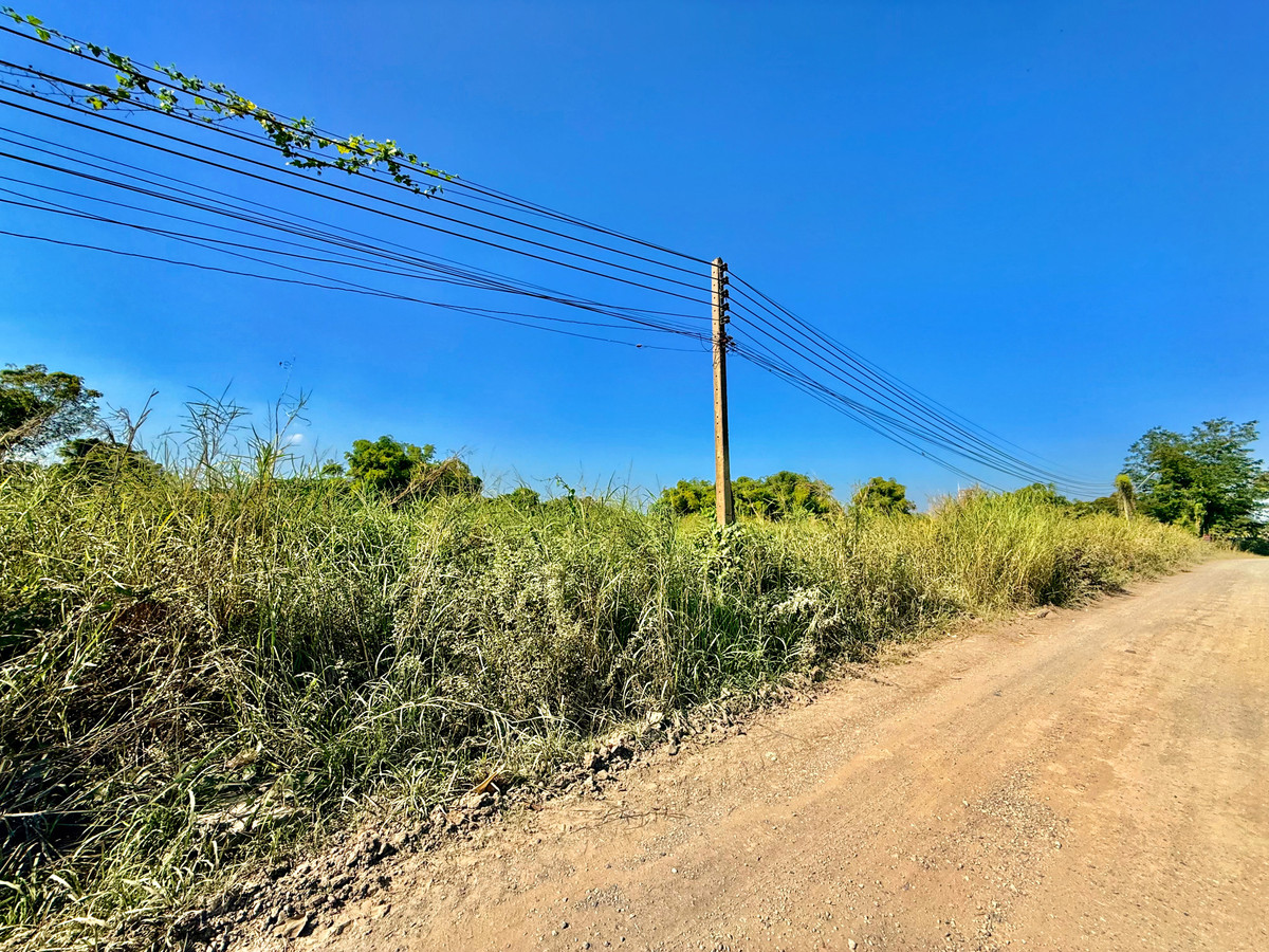 For SaleLandNakhon Sawan : 📢 [Urgent Sale] Prime Land Near Nakhon Sawan Transport Office & Bueng Senat – 5 Rai+ at an Unbeatable Price!