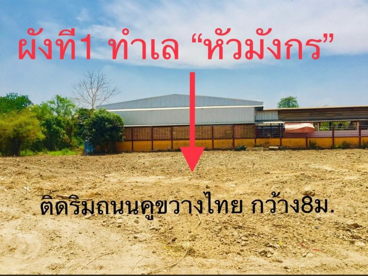 ขายที่ดินปทุมธานี รังสิต ธรรมศาสตร์ : ขายที่ดินถมแล้ว 283ตรว. ถึง 7ไร่ครึ่ง แบ่งขาย ปทุม ลาดหลุมแก้ว ติดถ.กำนันวิรัตน์ 