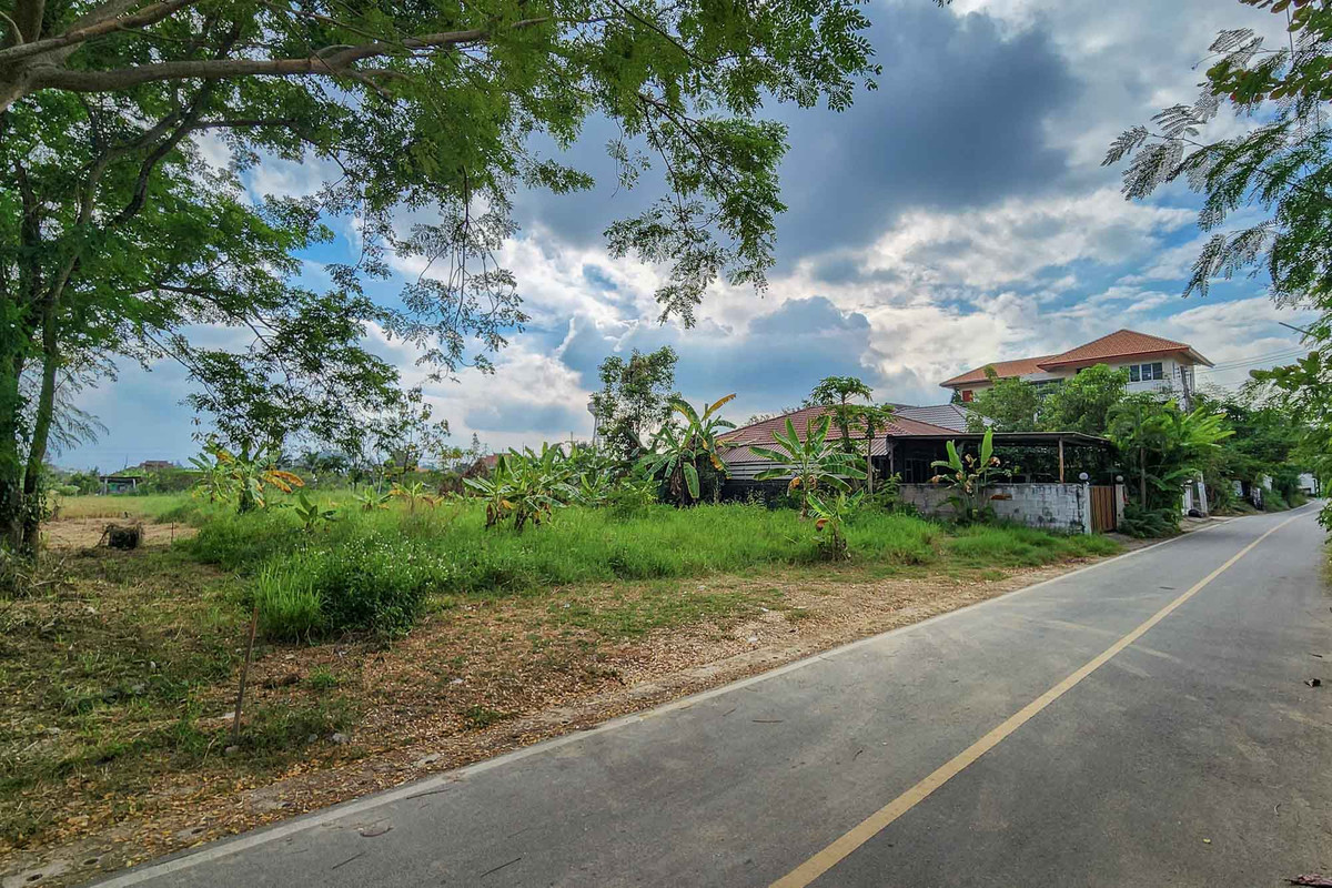 ขายที่ดินเชียงใหม่ : ที่ดิน โซนหางดง ถมแล้ว พร้อมสร้าง วิวทุ่งนาบรรยากาศสงบ ใกล้ถนนหลัก-สนามบิน เดินทางสะดวก