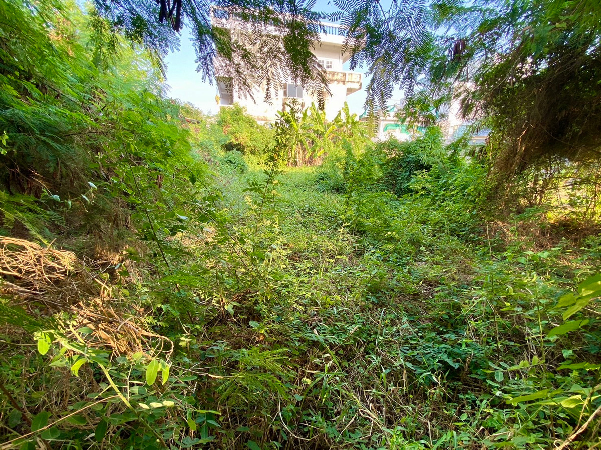 ขายที่ดินรัชดา ห้วยขวาง : ขายที่ดินทำเลศักยภาพ อินทามระ 37 ใจกลางเมือง เหมาะสร้างบ้านหรือพัฒนาอพาร์ทเมนต์ พื้นที่หายากในย่านนี้