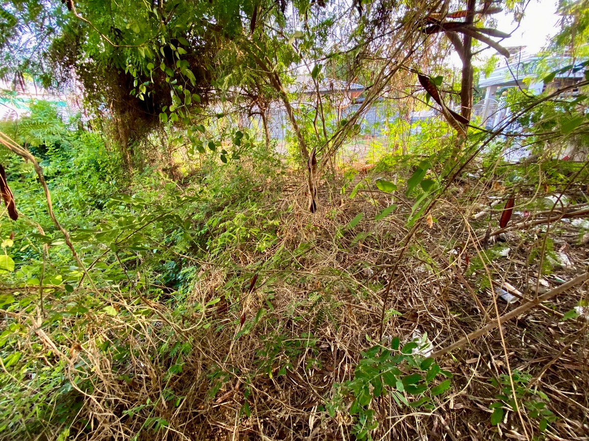 ขายที่ดินรัชดา ห้วยขวาง : ขายที่ดินทำเลศักยภาพ อินทามระ 37 ใจกลางเมือง เหมาะสร้างบ้านหรือพัฒนาอพาร์ทเมนต์ พื้นที่หายากในย่านนี้