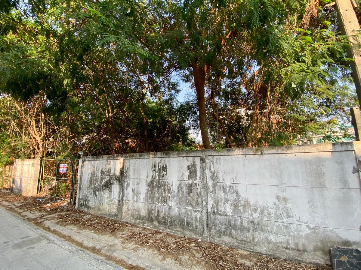 ขายที่ดินรัชดา ห้วยขวาง : ขายที่ดินทำเลศักยภาพ อินทามระ 37 ใจกลางเมือง เหมาะสร้างบ้านหรือพัฒนาอพาร์ทเมนต์ พื้นที่หายากในย่านนี้