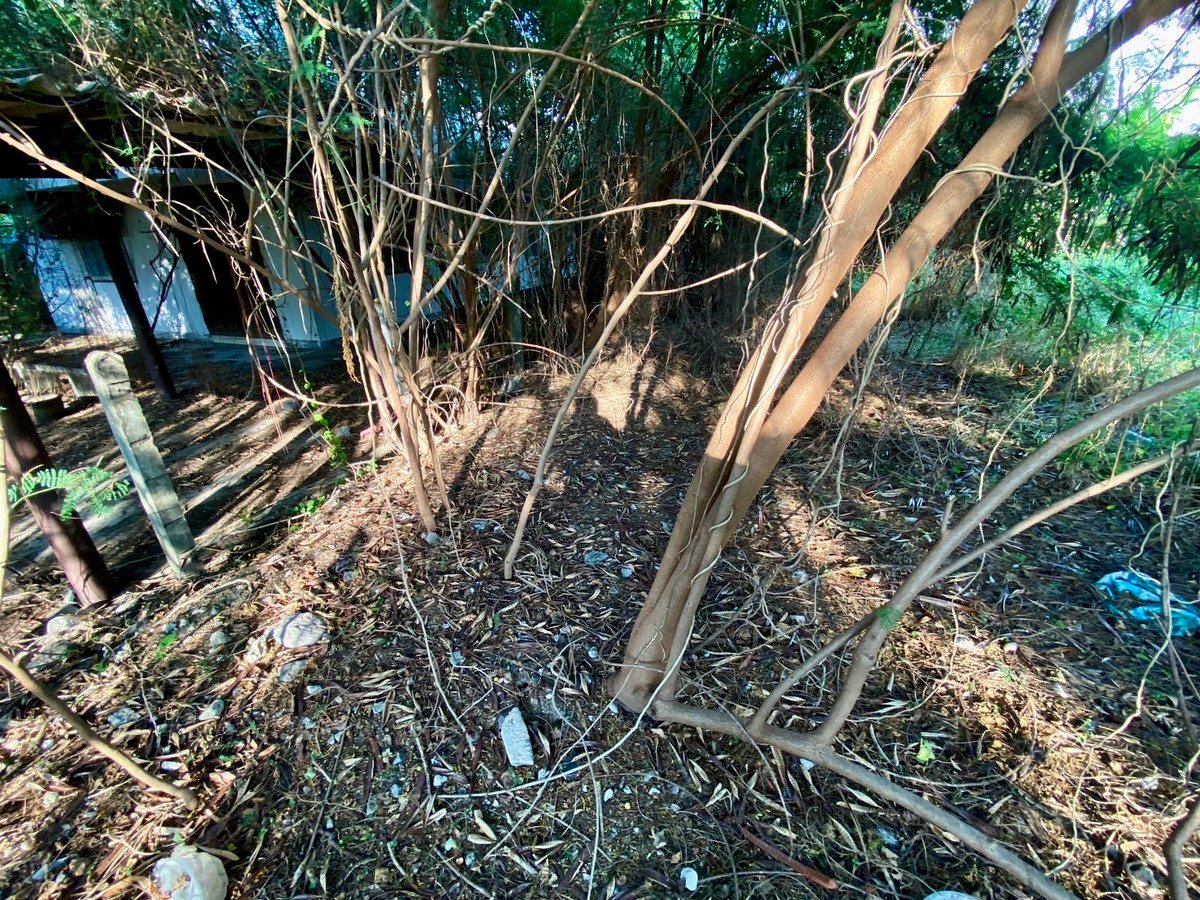 ขายที่ดินรัชดา ห้วยขวาง : ขายที่ดินทำเลศักยภาพ อินทามระ 37 ใจกลางเมือง เหมาะสร้างบ้านหรือพัฒนาอพาร์ทเมนต์ พื้นที่หายากในย่านนี้