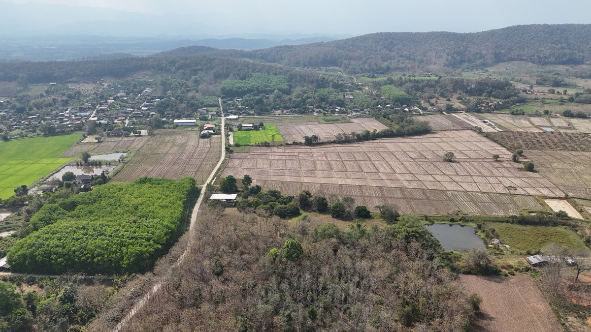 ขายที่ดินเชียงราย : ขายที่ดินเปล่าพร้อมโกดังและบ้าน 
บ้านจำปู ต.เจริญเมือง อ.พาน จ.เชียงราย 57120