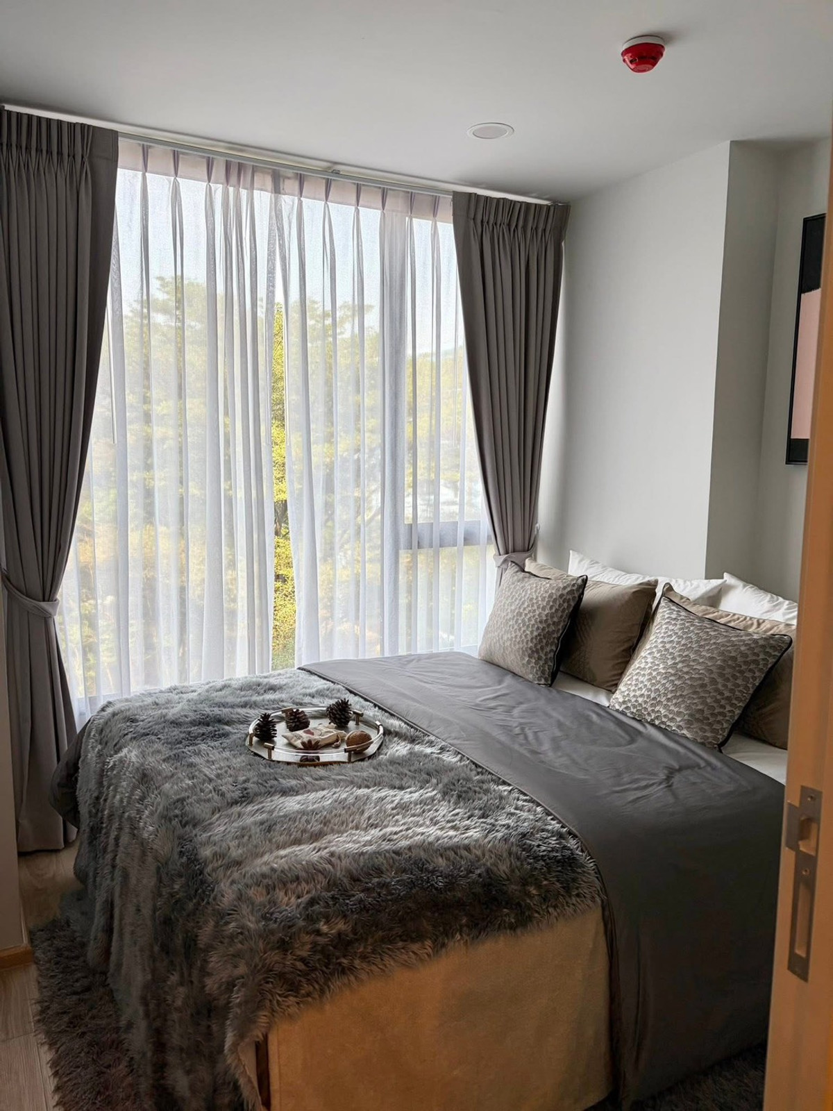 For RentCondoOnnut, Udomsuk : Condo for rent ESQUE Sukhumvit 101/1 (ESQUE SUKHUMVIT 101/1)