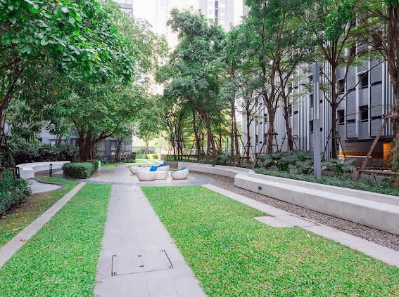 For SaleCondoBang Sue, Wong Sawang, Tao Pun : 🔥Urgent Sale+🔥 The Line Wong Sawang, near MRT Wong Sawang Station. Fully furnished and ready to move in.