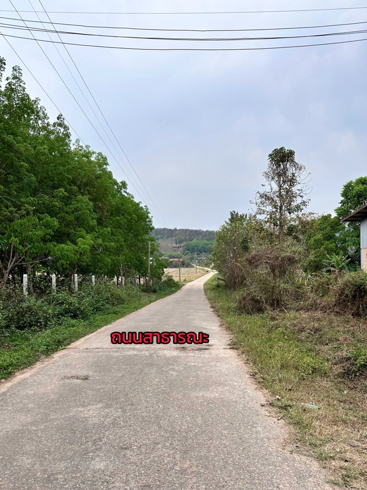 ขายที่ดินเชียงราย : ขายที่ดินเปล่าพร้อมโกดังและบ้าน 
บ้านจำปู ต.เจริญเมือง อ.พาน จ.เชียงราย 57120