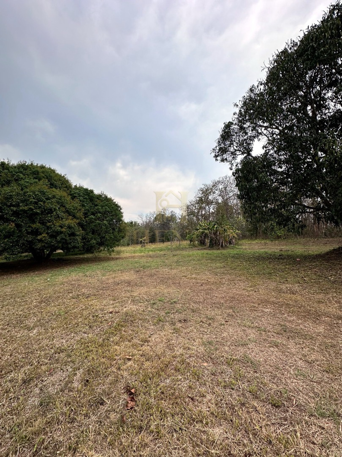 ขายที่ดินเชียงราย : ขายที่ดินเปล่าพร้อมโกดังและบ้าน 
บ้านจำปู ต.เจริญเมือง อ.พาน จ.เชียงราย 57120