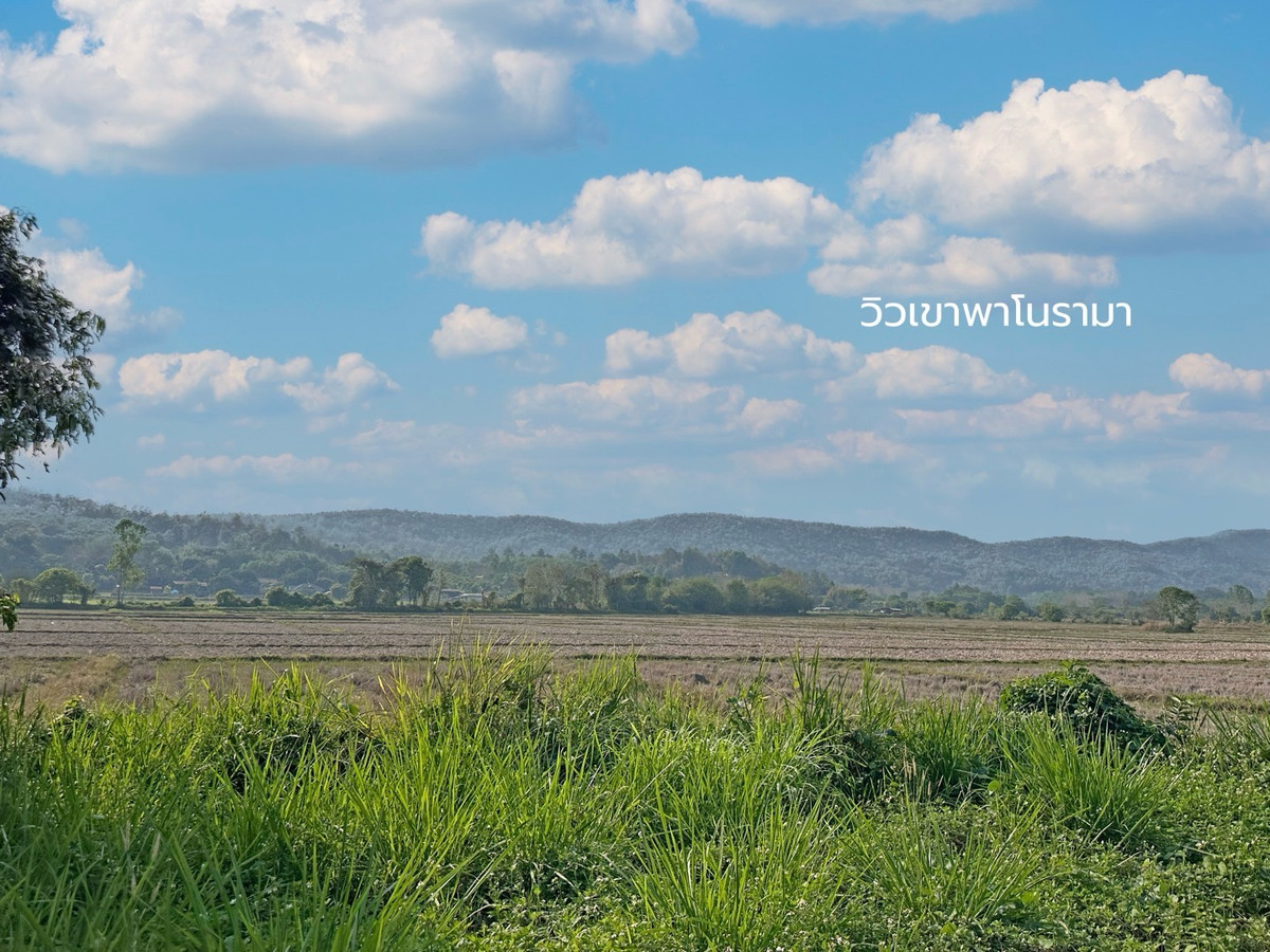 ขายที่ดินเชียงราย : ขายที่ดินเปล่าพร้อมโกดังและบ้าน 
บ้านจำปู ต.เจริญเมือง อ.พาน จ.เชียงราย 57120