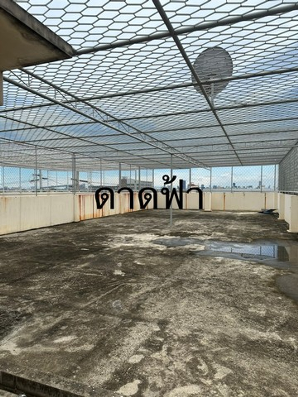 ให้เช่าอาคารพาณิชย์พัฒนาการ ศรีนครินทร์ : HR3224ให้เช่าอาคารพาณิชย์พื้นที่ใหญ่ 1,100 ตร.ม. ทำเลทองติดถนนศรีนครินทร์ หน้าร้านโดดเด่นติดถนนใหญ่ (ฝั่งซีคอนสแควร์) | ใกล้ MRT ศรีนุช เพียงไม่กี่ก้าว